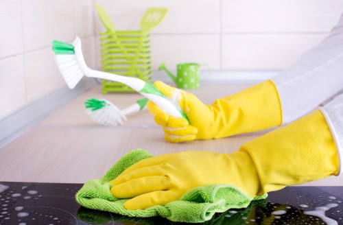 Final inspection-ready end of tenancy cleaning for a rental home