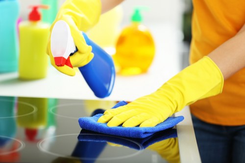 Eco-friendly domestic cleaning in Kingston upon Thames for modern households